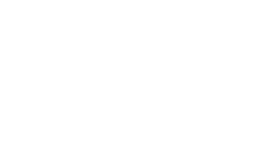 FlowState